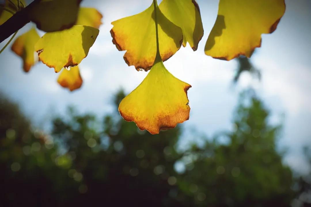 微信图片_20201124234055