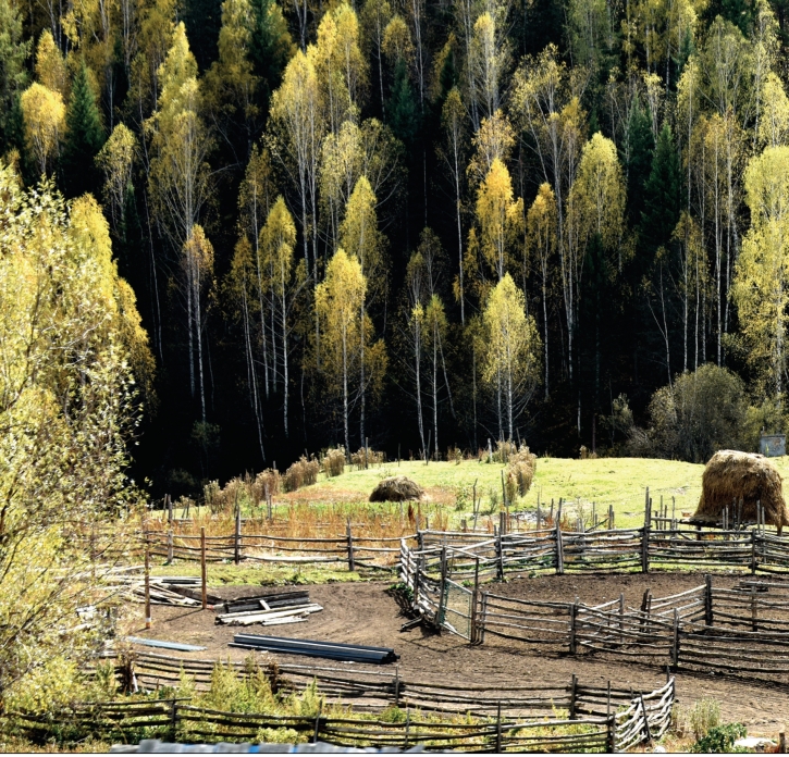 pagenumber_ebook=13,pagenumber_book=2