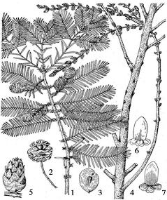 pagenumber_ebook=73,pagenumber_book=73