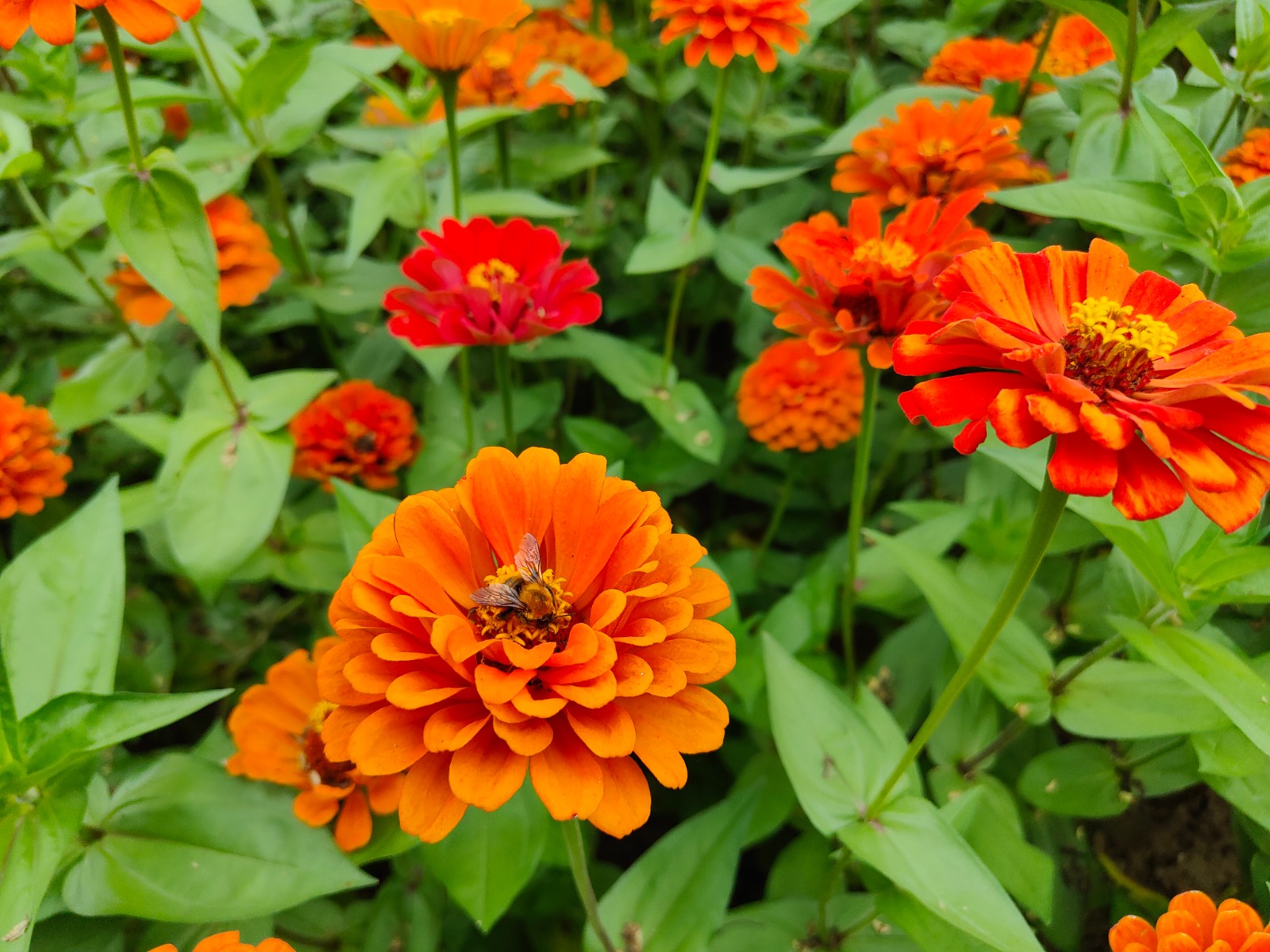 微信图片_20220907091552