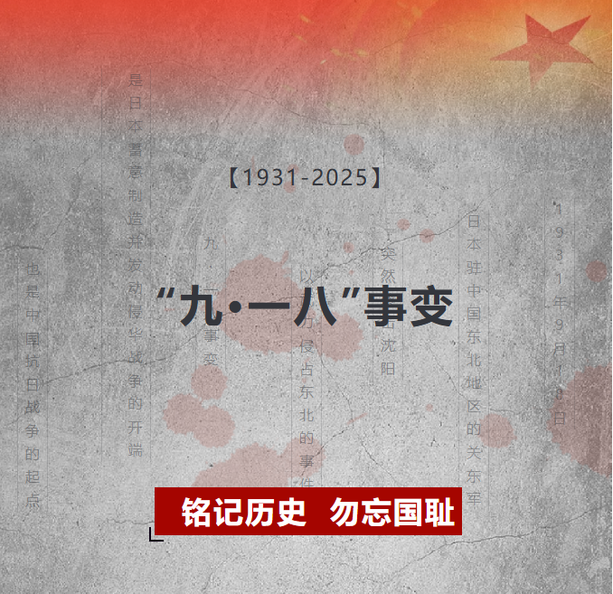 image.png?v=1762126141328