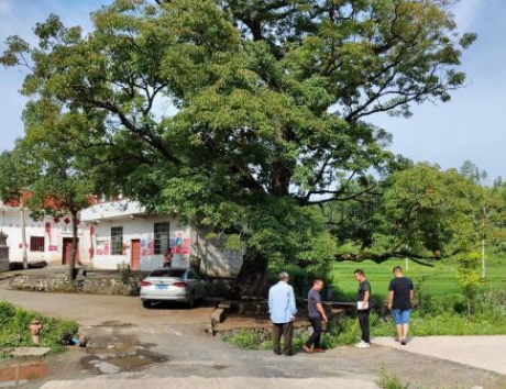 图片 7 图片 7.png