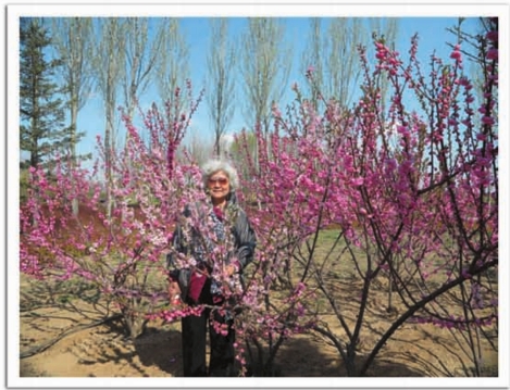 pagenumber_ebook=136,pagenumber_book=120