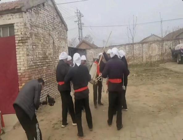 图片8 图片8.jpg