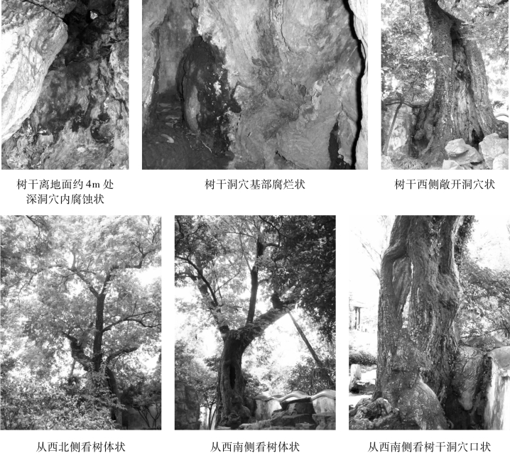 pagenumber_ebook=84,pagenumber_book=84