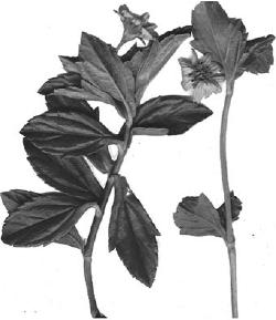 pagenumber_ebook=258,pagenumber_book=258