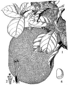 pagenumber_ebook=80,pagenumber_book=80