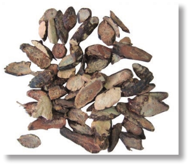 pagenumber_ebook=141,pagenumber_book=128