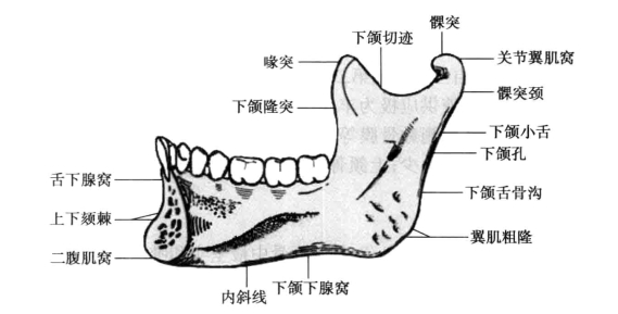 pagenumber_ebook=61,pagenumber_book=52