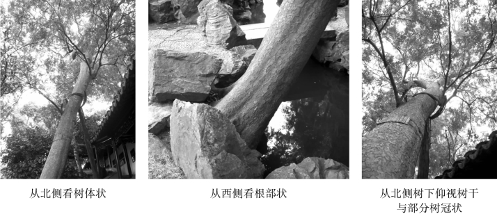 pagenumber_ebook=102,pagenumber_book=102