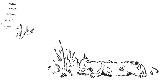 pagenumber_ebook=160,pagenumber_book=152