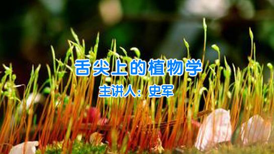 2ff4cc11dec15da338bd181429d1f314 2ff4cc11dec15da338bd181429d1f314.png?v=1762369335668