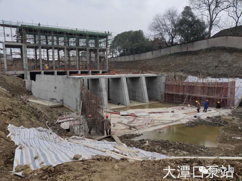 1 1.png?v=1765960147980