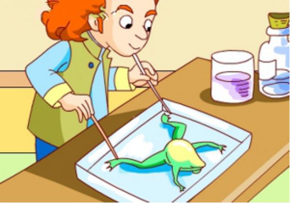 微信图片_20200326110119 微信图片_20200326110119.jpg?v=1765655382107