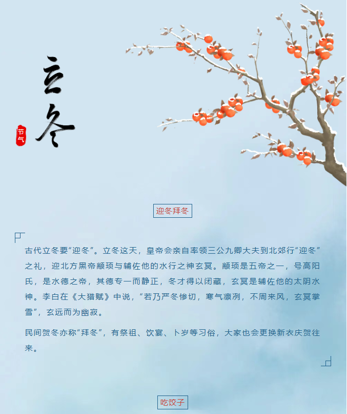 image.png?v=1766280835487