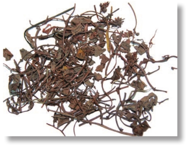 pagenumber_ebook=125,pagenumber_book=112