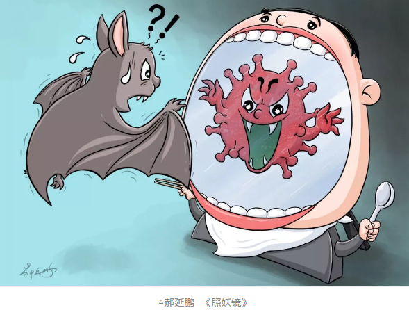 image image.png?v=1784605934775