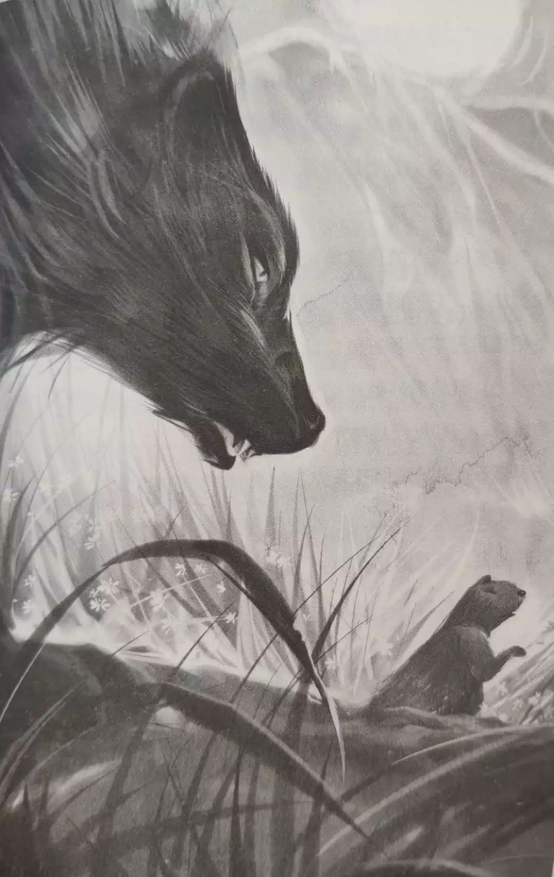 d3b480e3690244e9fca09c19159c5946 d3b480e3690244e9fca09c19159c5946.jpg