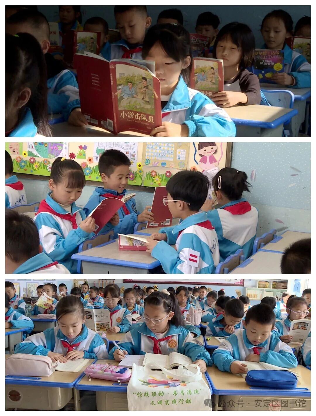 3 3.jpg?v=1767273581903