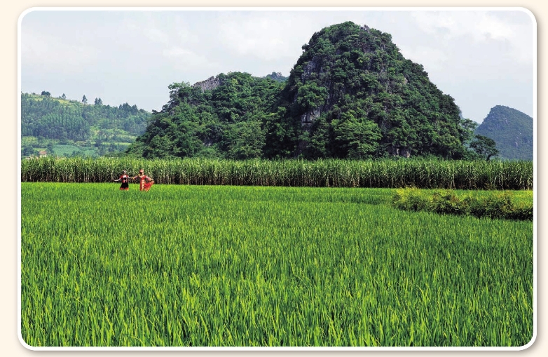 pagenumber_ebook=188,pagenumber_book=178