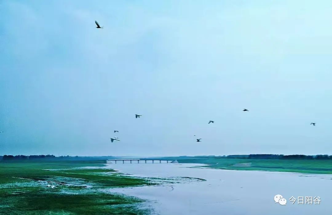 微信图片_20220316100702 微信图片_20220316100702.jpg