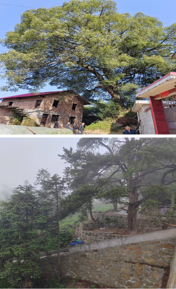 1732339319118 1732339319118.png