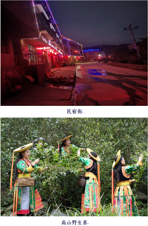 1732192525218 1732192525218.png