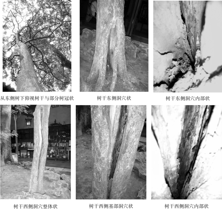 pagenumber_ebook=105,pagenumber_book=105