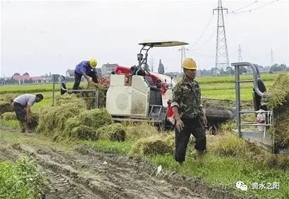 1 1.jpg?v=1765946541201