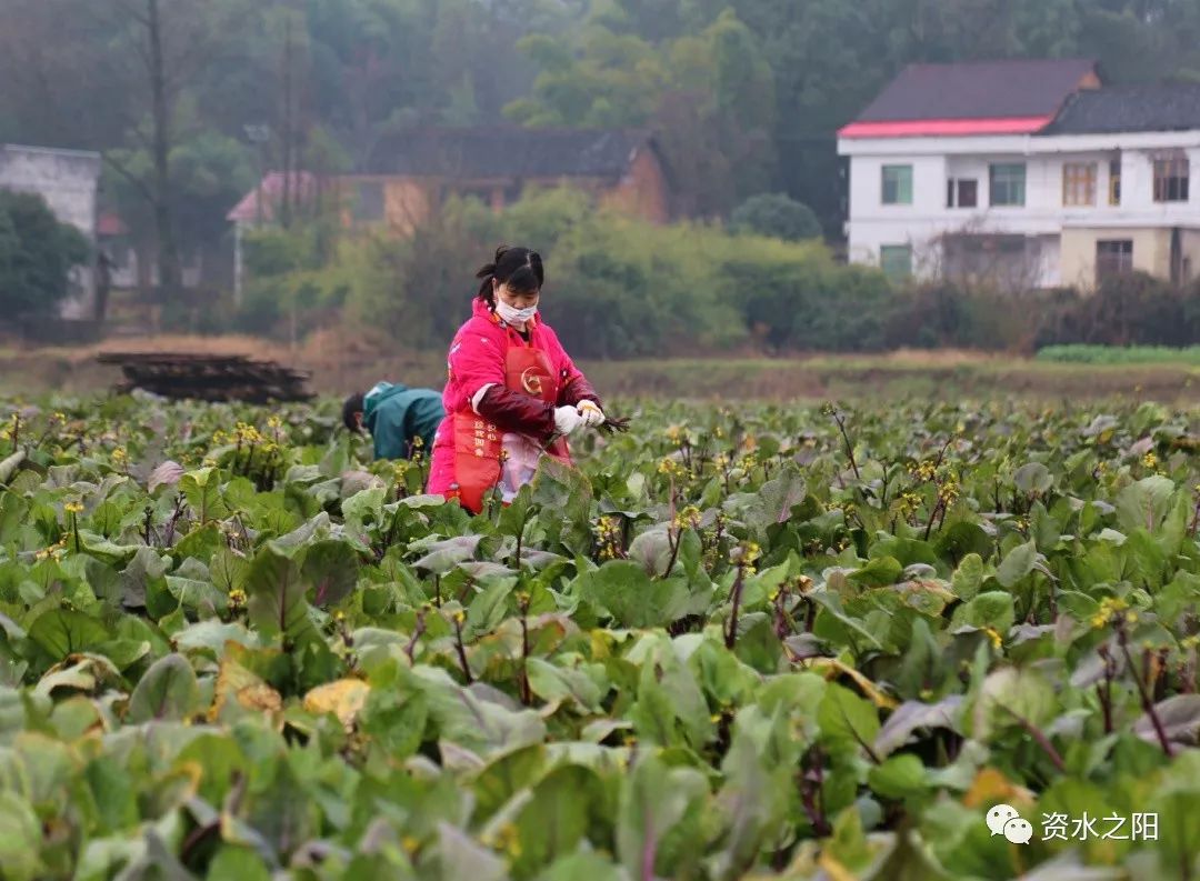 2 2.jpg?v=1765925486137