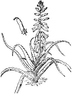 pagenumber_ebook=264,pagenumber_book=264