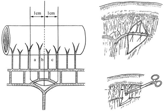 pagenumber_ebook=239,pagenumber_book=224