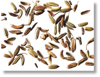 pagenumber_ebook=131,pagenumber_book=118