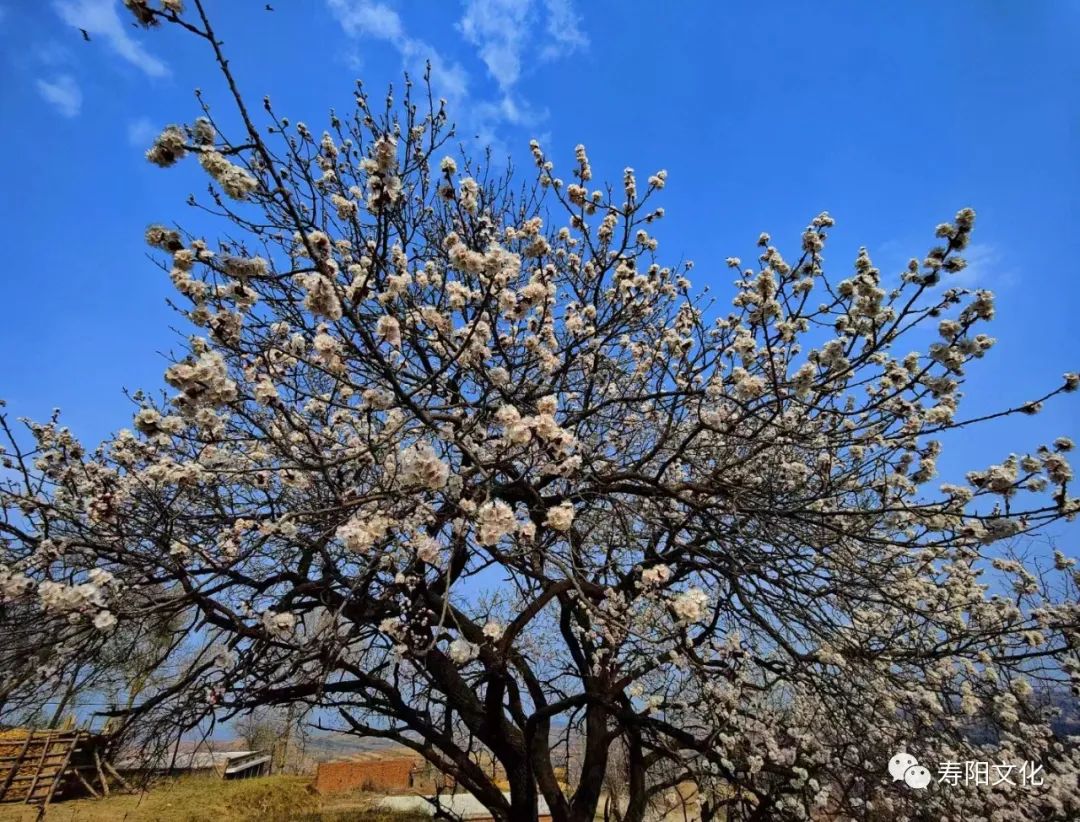 d684669538c23bbbcd3f4f774cfebae8_640_wx_fmt=jpeg&wxfrom=5&wx_lazy=1&wx_co=1 d684669538c23bbbcd3f4f774cfebae8_640_wx_fmt=jpeg&wxfrom=5&wx_lazy=1&wx_co=1.jpg