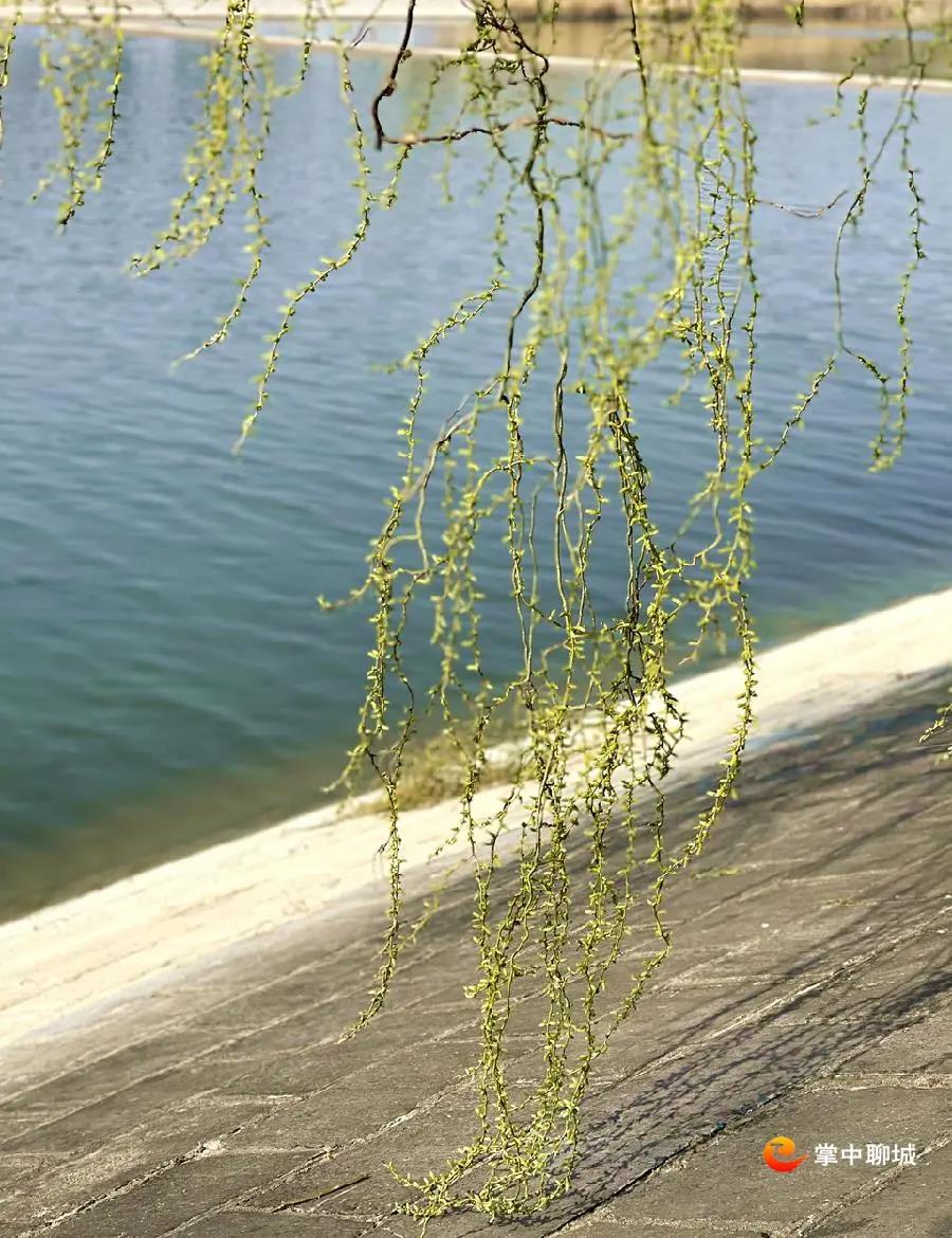 微信图片_20210308084859 微信图片_20210308084859.jpg