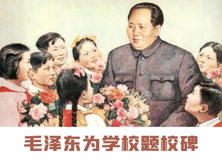 640 (8) 640 (8).jpg?v=1763637639447