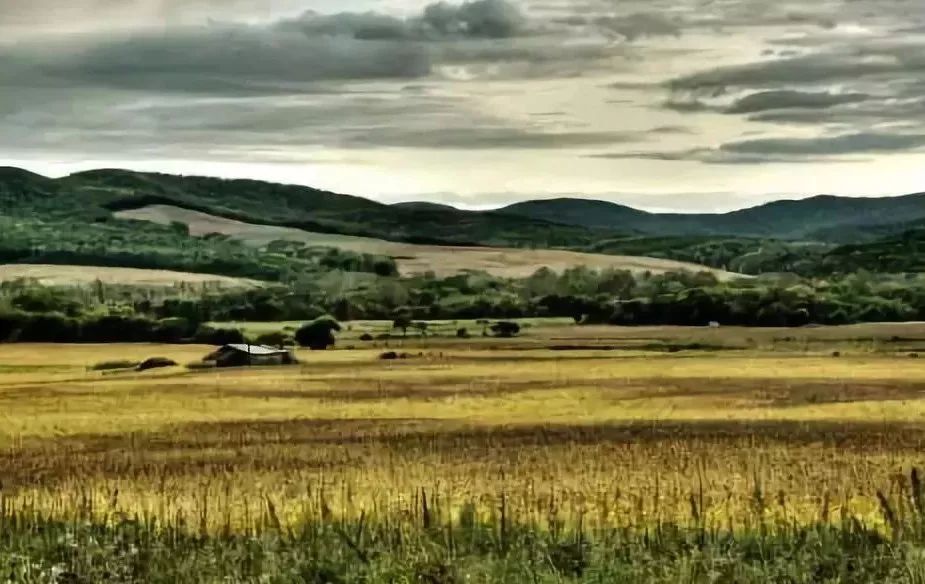 26ff7f45f6ea2853b91667a0793be3de 26ff7f45f6ea2853b91667a0793be3de.jpg