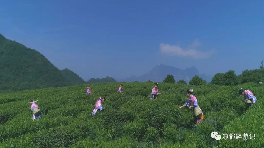 12.webp.jpg?v=1762810420262