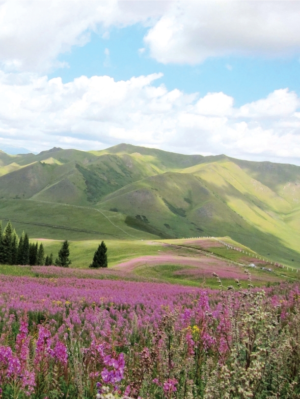 pagenumber_ebook=78,pagenumber_book=67