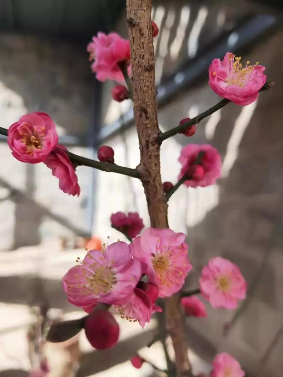 微信图片_20201022211939 微信图片_20201022211939.jpg