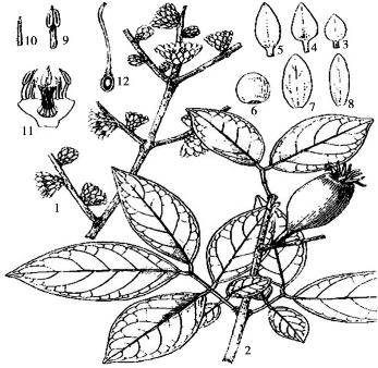 pagenumber_ebook=150,pagenumber_book=150