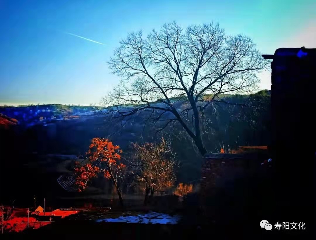 ae661e15e13b50037e457cd21802f8e