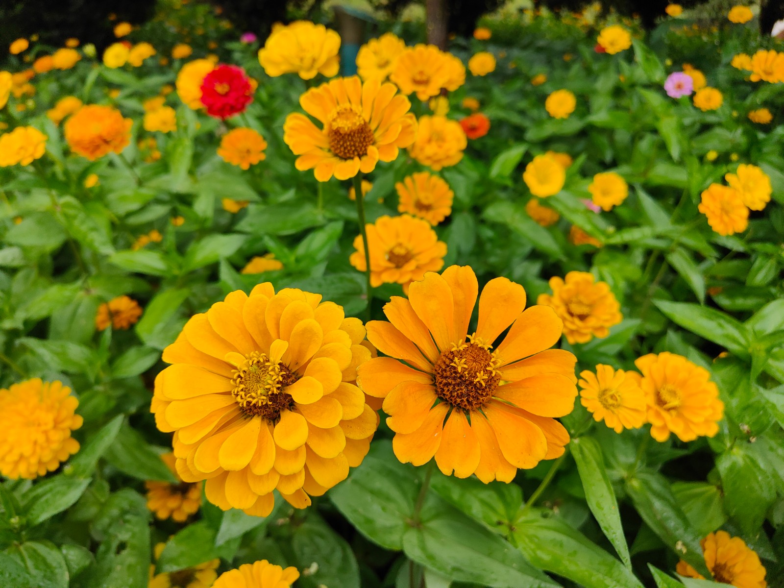 微信图片_20220907091524