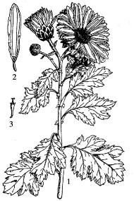 pagenumber_ebook=209,pagenumber_book=209