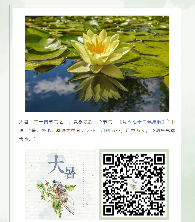 image.png?v=1757830679816