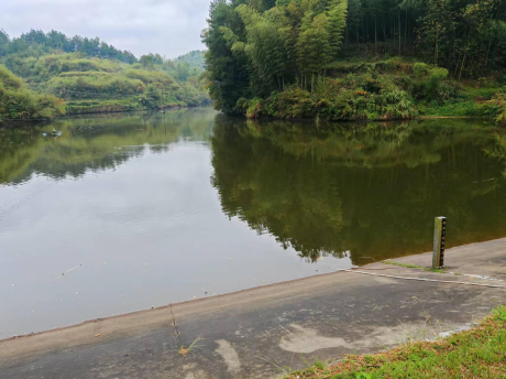 图片 9 图片 9.png