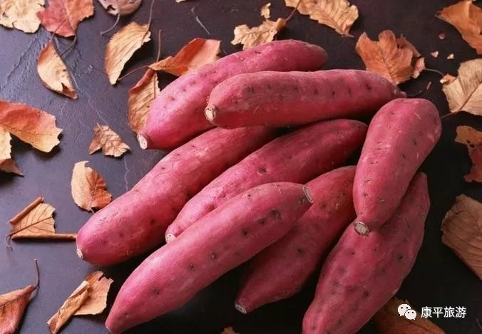 4.webp (1) 4.webp (1).jpg