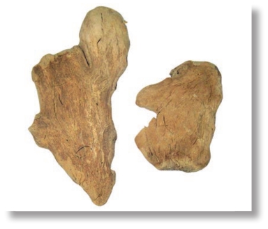 pagenumber_ebook=173,pagenumber_book=160