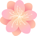 94f71e2c0c57ae2a1b4131709c6bd1b7 94f71e2c0c57ae2a1b4131709c6bd1b7.png