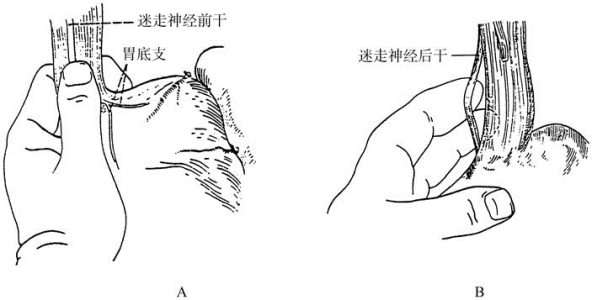 pagenumber_ebook=98,pagenumber_book=83